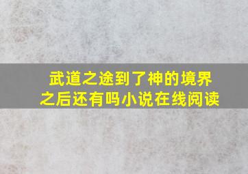 武道之途到了神的境界之后还有吗小说在线阅读