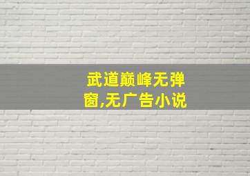 武道巅峰无弹窗,无广告小说