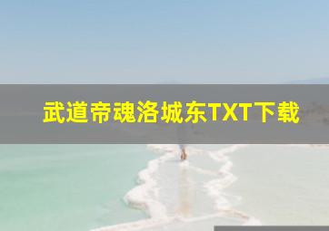 武道帝魂洛城东TXT下载