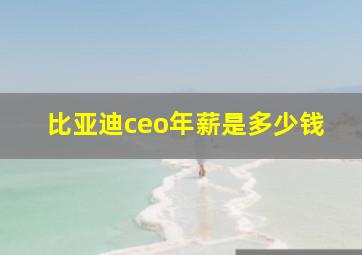 比亚迪ceo年薪是多少钱