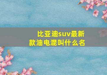 比亚迪suv最新款油电混叫什么名