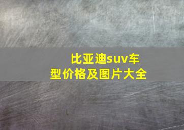 比亚迪suv车型价格及图片大全