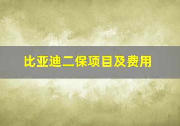 比亚迪二保项目及费用