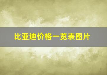 比亚迪价格一览表图片