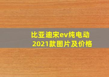 比亚迪宋ev纯电动2021款图片及价格