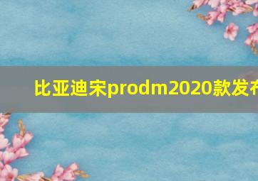 比亚迪宋prodm2020款发布