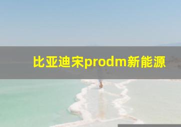 比亚迪宋prodm新能源