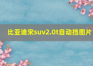 比亚迪宋suv2.0t自动挡图片