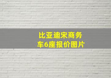 比亚迪宋商务车6座报价图片