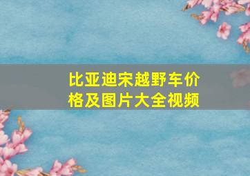 比亚迪宋越野车价格及图片大全视频