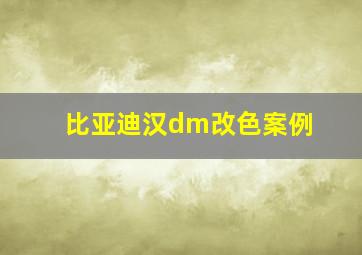 比亚迪汉dm改色案例