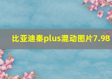 比亚迪秦plus混动图片7.98