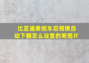 比亚迪秦倒车后视镜自动下翻怎么设置的呢图片