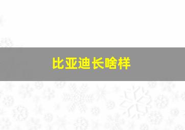 比亚迪长啥样