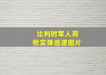 比利时军人荷枪实弹巡逻图片