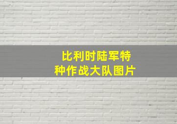 比利时陆军特种作战大队图片