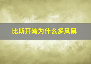 比斯开湾为什么多风暴