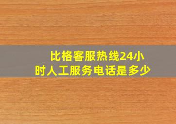 比格客服热线24小时人工服务电话是多少