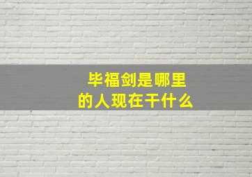 毕福剑是哪里的人现在干什么