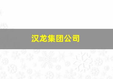 汉龙集团公司