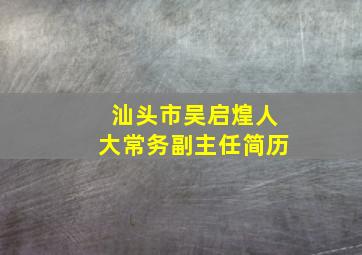 汕头市吴启煌人大常务副主任简历