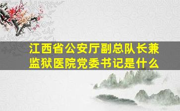 江西省公安厅副总队长兼监狱医院党委书记是什么