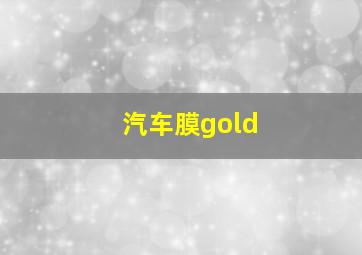 汽车膜gold