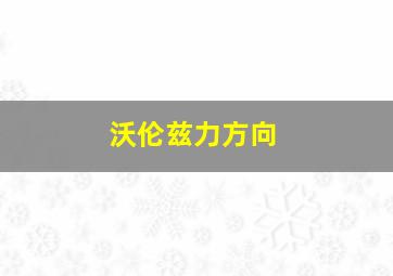 沃伦兹力方向