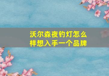 沃尔森夜钓灯怎么样想入手一个品牌