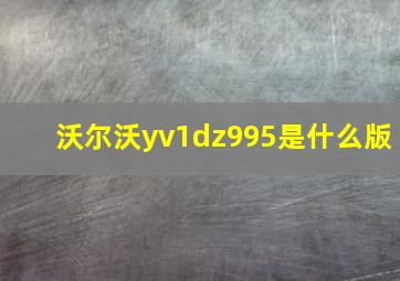 沃尔沃yv1dz995是什么版