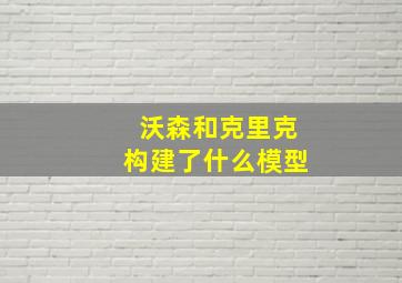 沃森和克里克构建了什么模型