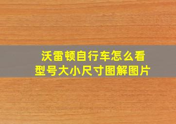 沃雷顿自行车怎么看型号大小尺寸图解图片