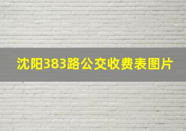 沈阳383路公交收费表图片