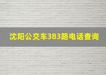 沈阳公交车383路电话查询