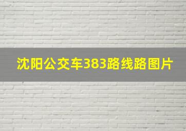 沈阳公交车383路线路图片