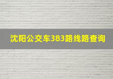 沈阳公交车383路线路查询