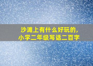 沙滩上有什么好玩的,小学二年级写话二百字