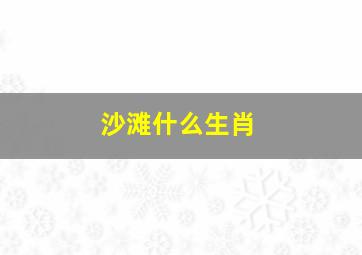 沙滩什么生肖