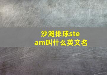 沙滩排球steam叫什么英文名