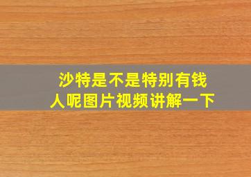 沙特是不是特别有钱人呢图片视频讲解一下