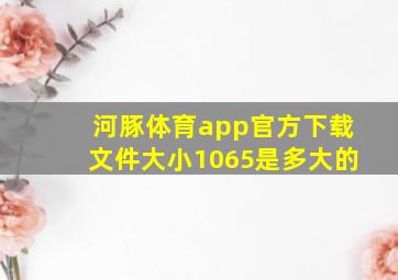 河豚体育app官方下载文件大小1065是多大的