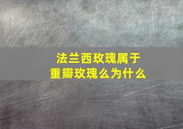 法兰西玫瑰属于重瓣玫瑰么为什么