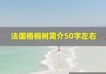 法国梧桐树简介50字左右