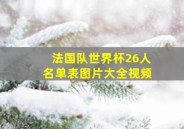 法国队世界杯26人名单表图片大全视频