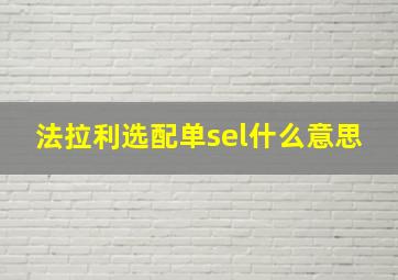 法拉利选配单sel什么意思