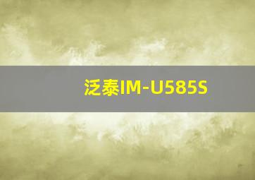 泛泰IM-U585S