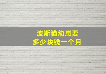 波斯猫幼崽要多少块钱一个月