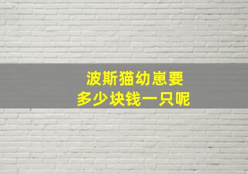 波斯猫幼崽要多少块钱一只呢