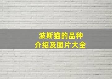 波斯猫的品种介绍及图片大全