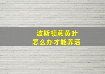 波斯顿蕨黄叶怎么办才能养活